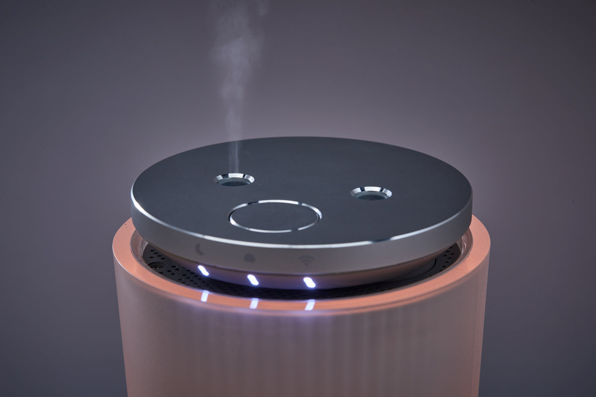 cado BRAIN SLEEP CLOCK[同友会]