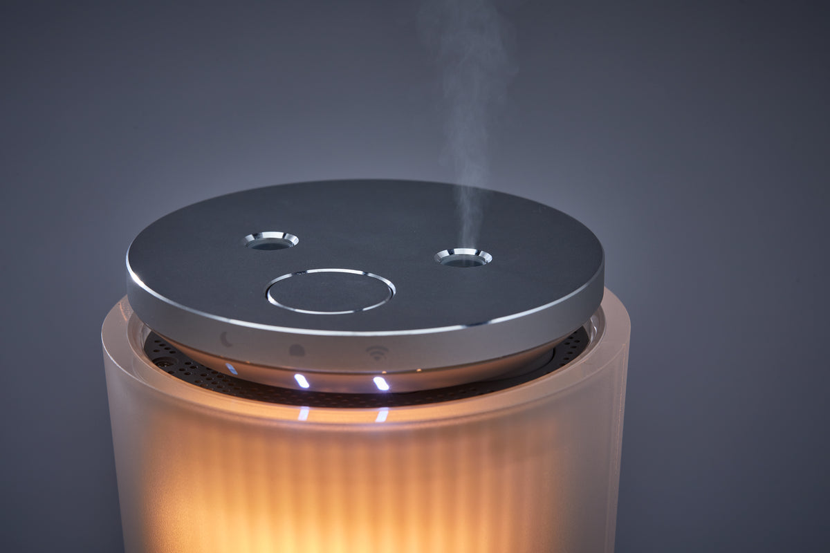 cado BRAIN SLEEP CLOCK[同友会]