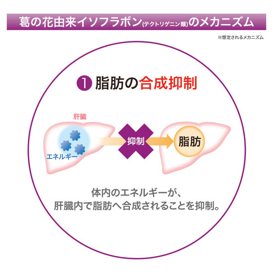 メタバリア葛の花イソフラボンEX 120粒(30日)袋