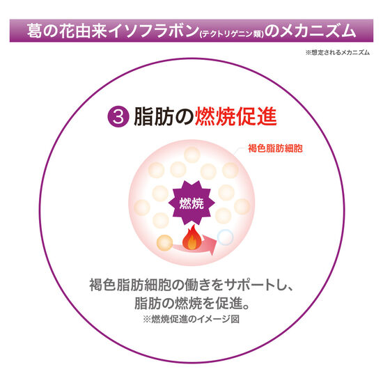 メタバリア葛の花イソフラボンEX 120粒(30日)袋