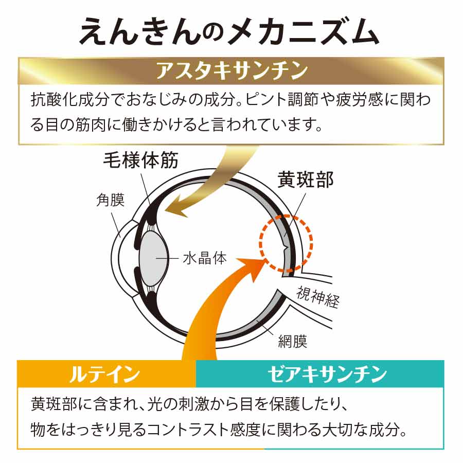 FANCL えんきん30粒（30日分）×3袋セット　計90日分