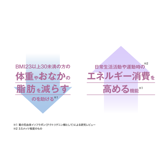 メタバリア葛の花イソフラボンEX 120粒(30日)×3袋