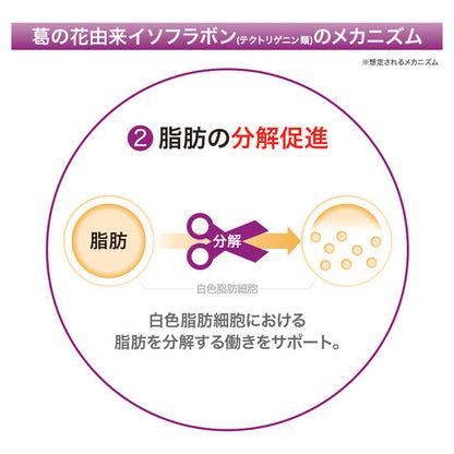 メタバリア葛の花イソフラボンEX 120粒(30日)×3袋