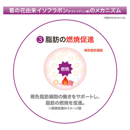 メタバリア葛の花イソフラボンEX 120粒(30日)×3袋
