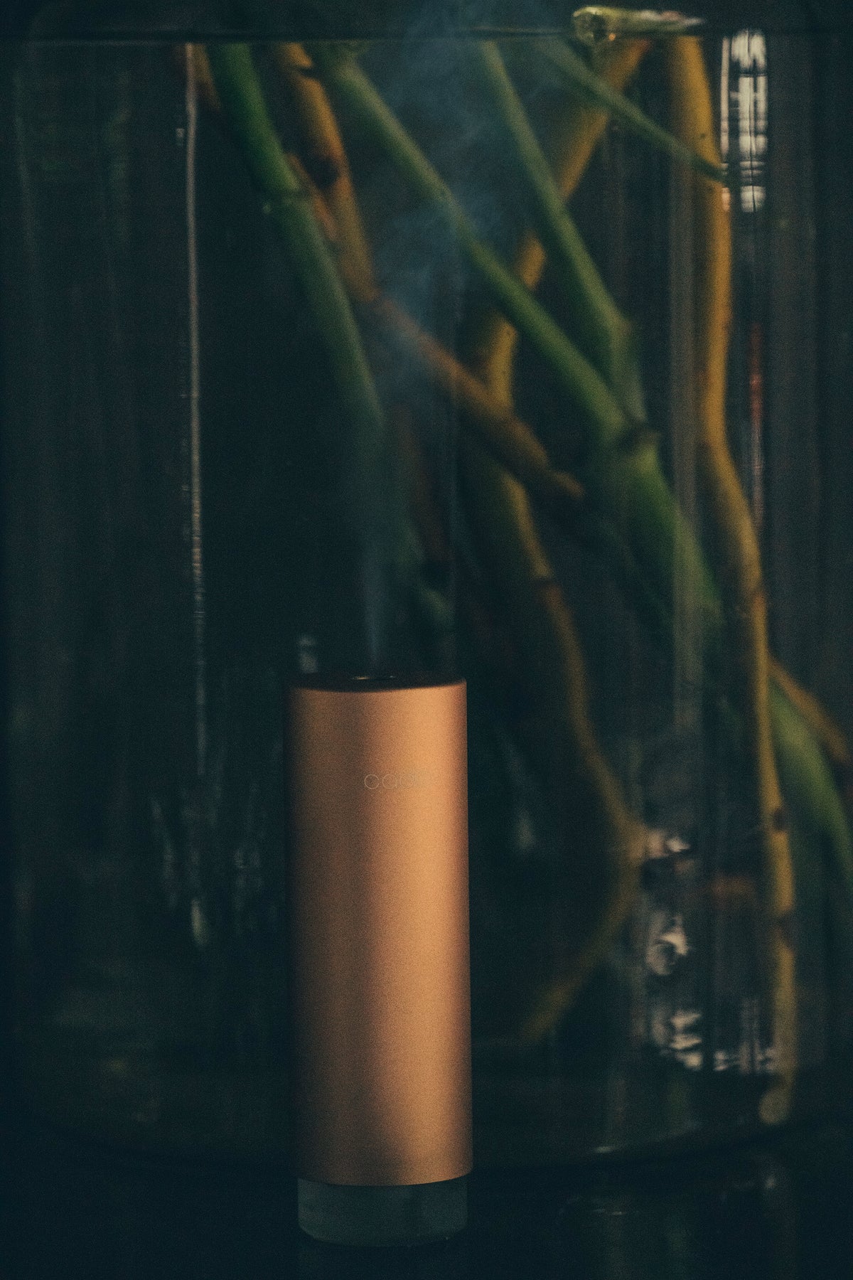 cado 加湿器　STEM Mini[同友会]